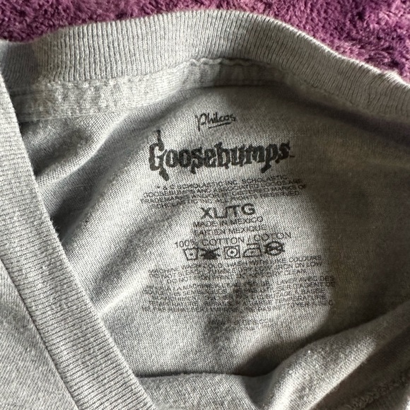 ❌SOLD❌ GOOSEBUMPS CROP TOP - Picture 3 of 3